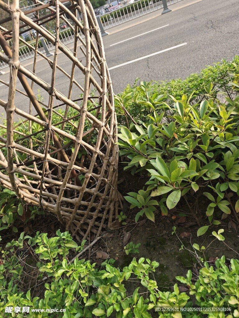 户外竹编装饰与绿植景观