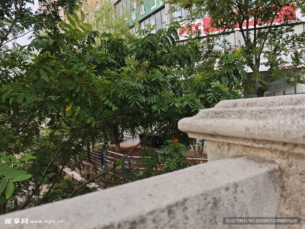 石栏边葱郁绿植景观