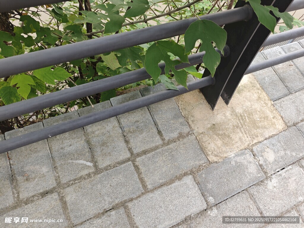 户外黑色栏杆与绿植景观