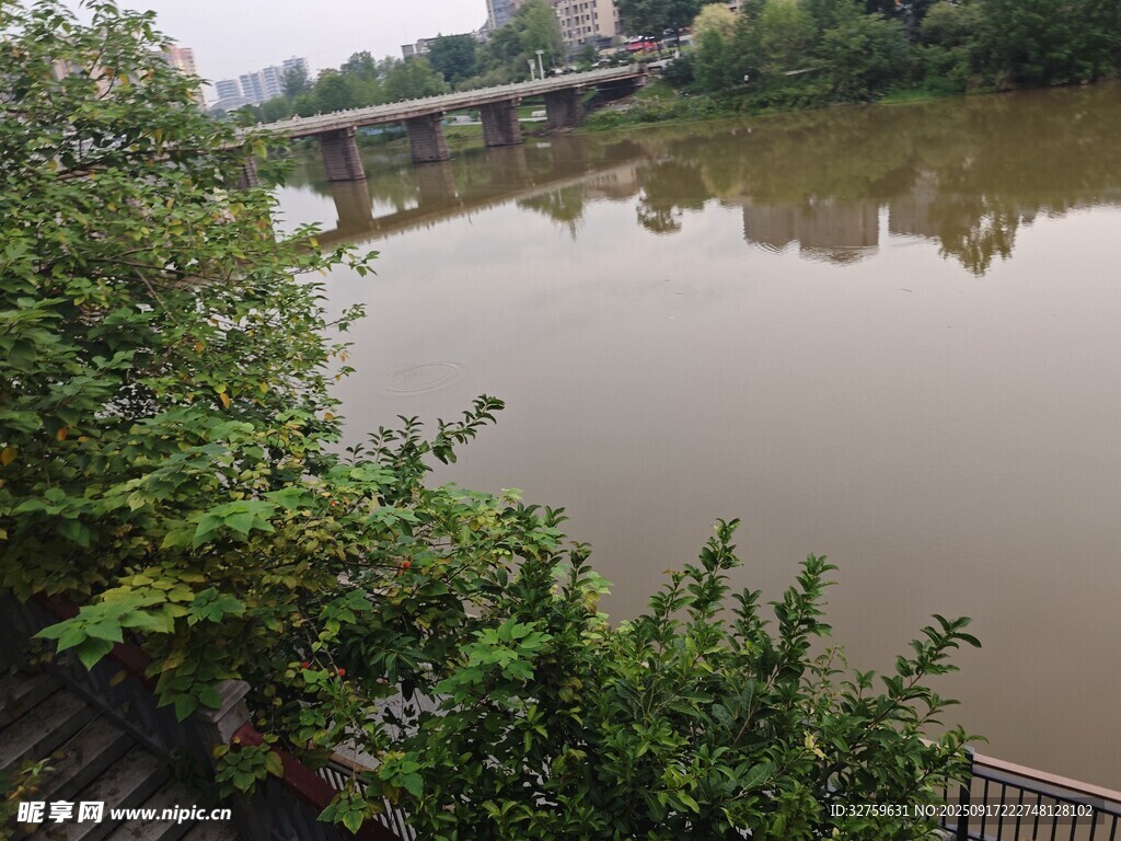 河畔桥梁风景