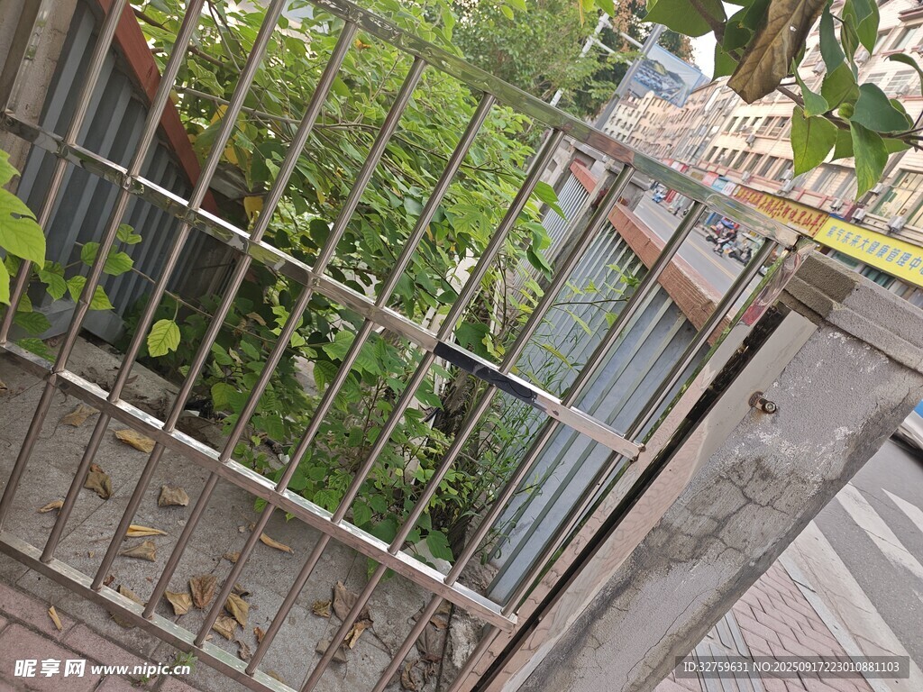 围栏内的绿植景观