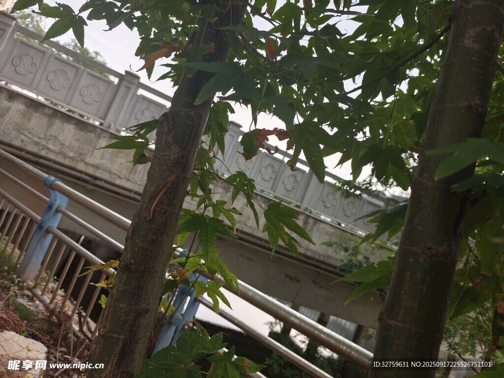 树林中的建筑一角