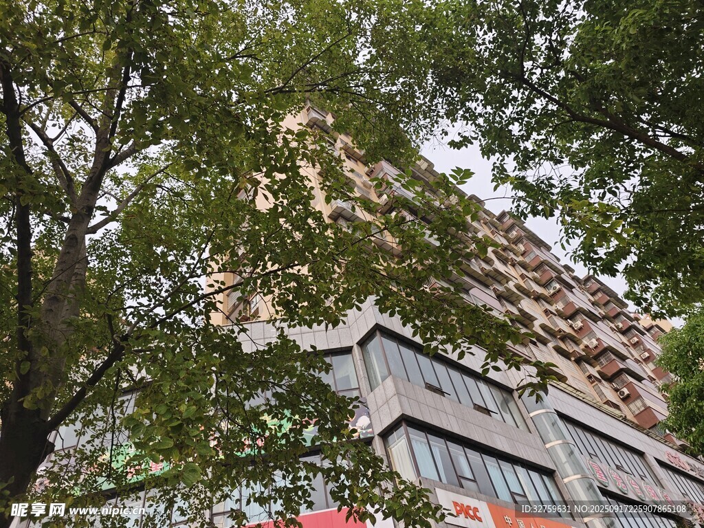 绿树掩映下的城市建筑