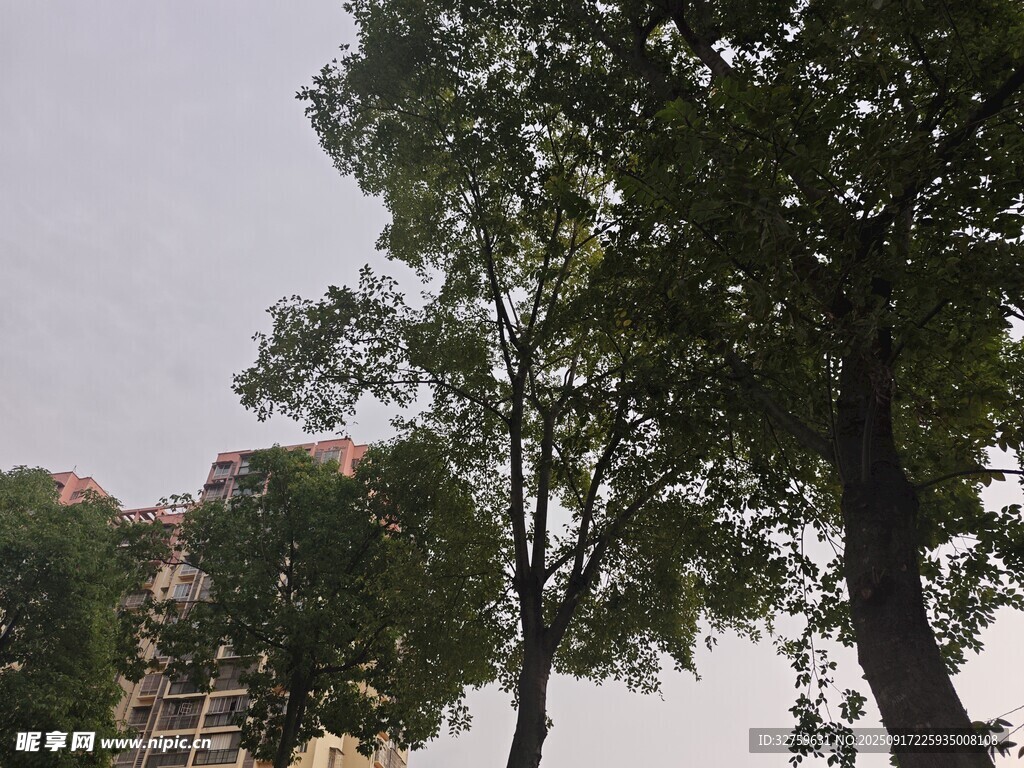 绿树掩映下的建筑一角
