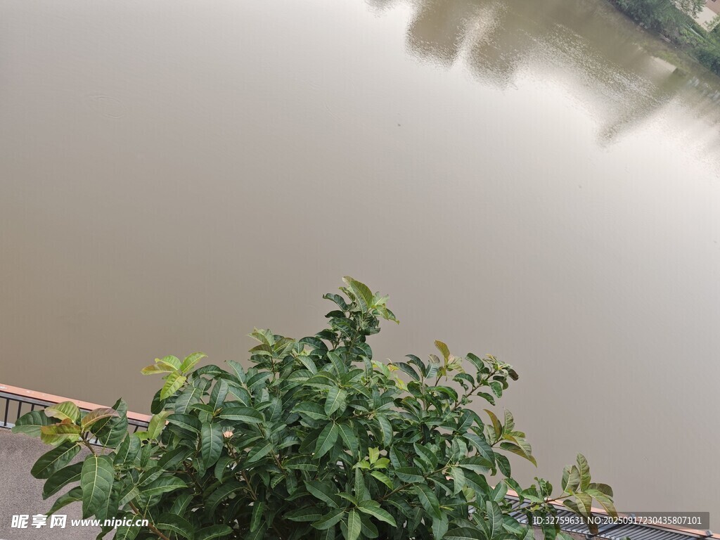 水边绿植景观
