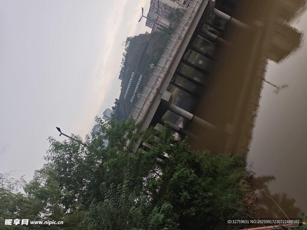 河边桥梁与绿植景观