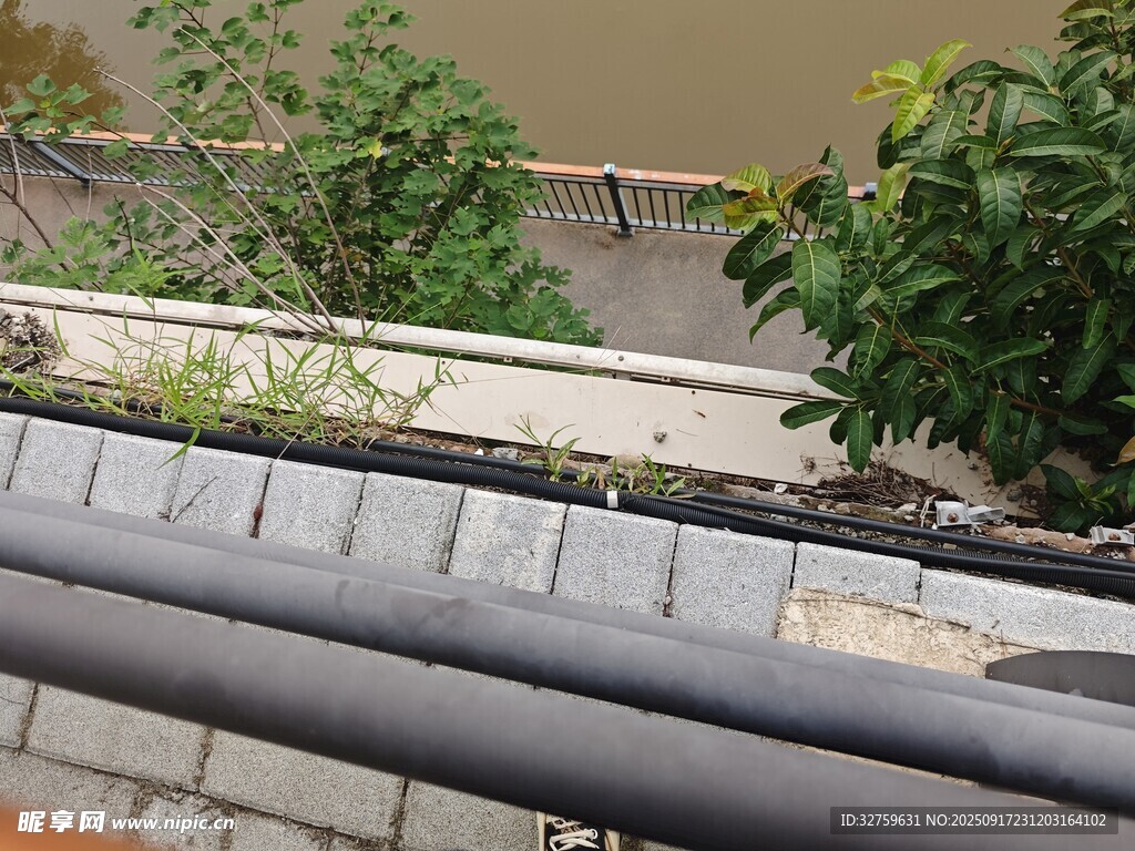 屋顶绿植与黑色管道景观