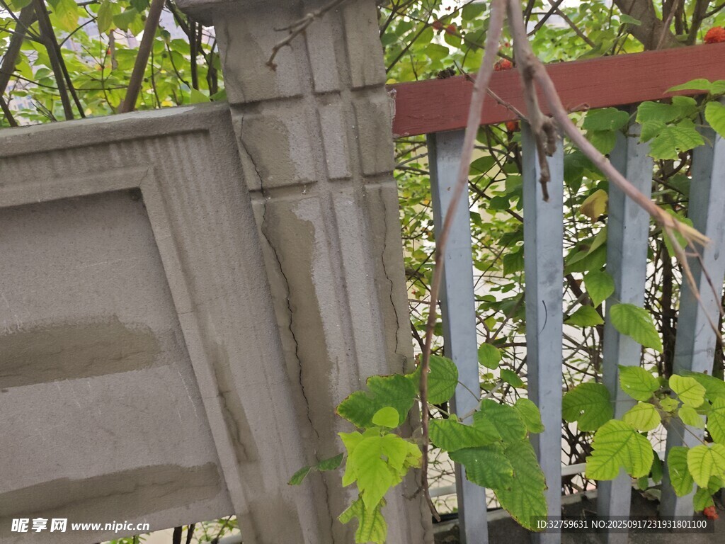 藤蔓缠绕的金属结构