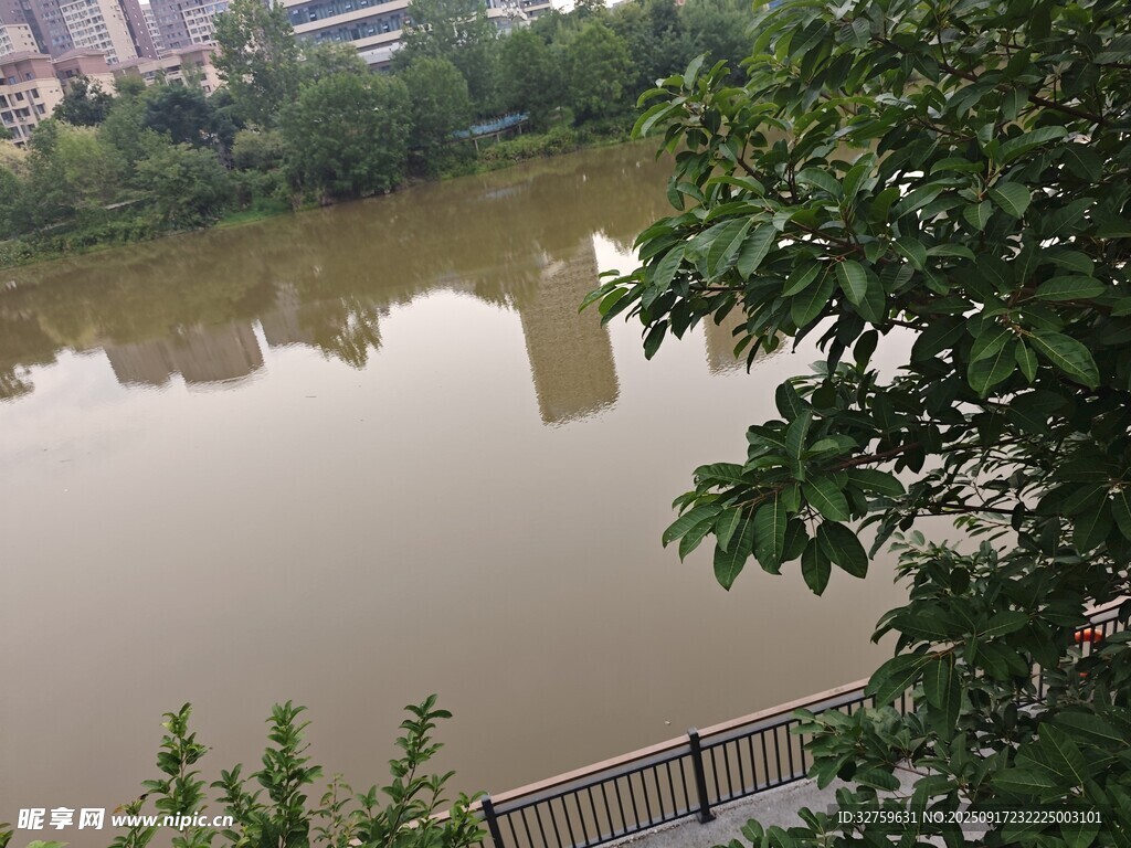 河畔绿树环绕的静谧水景
