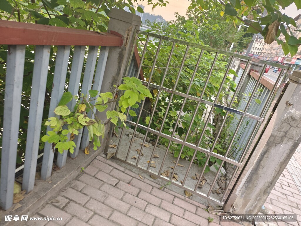 铁艺围栏旁的绿植景观