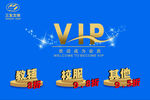 VIP 辅导