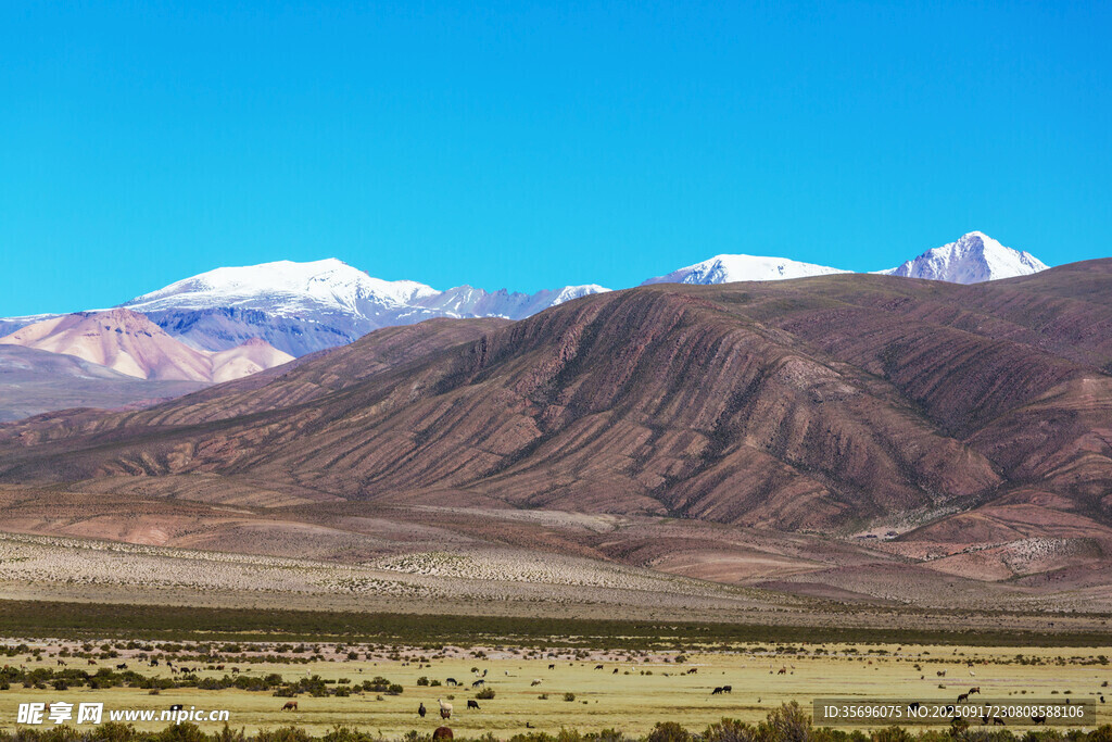 壮丽高原雪山景观