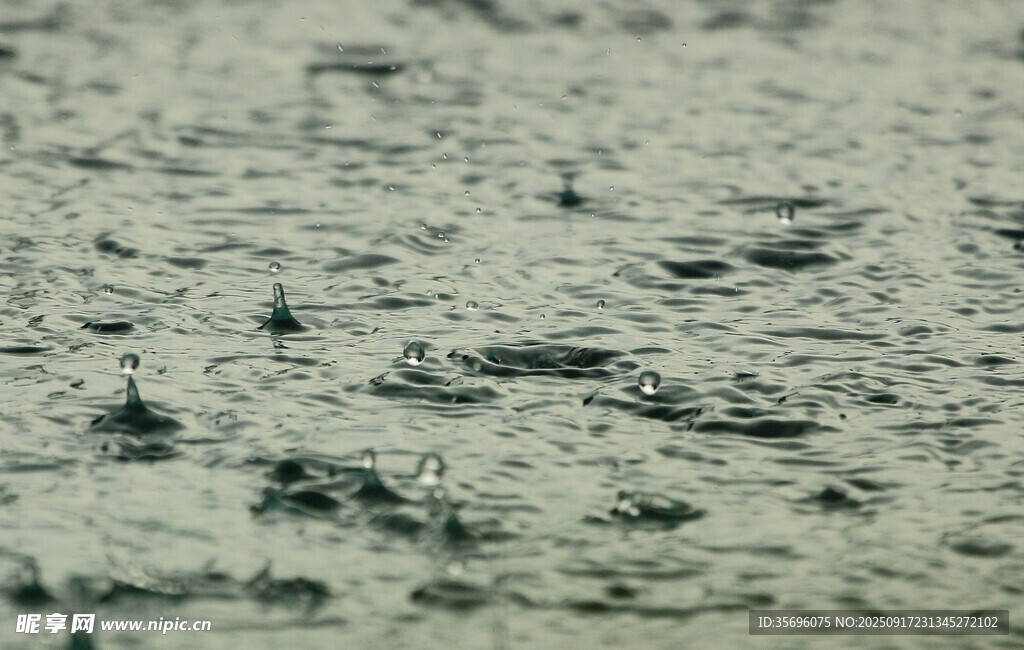 水面涟漪与漂浮物