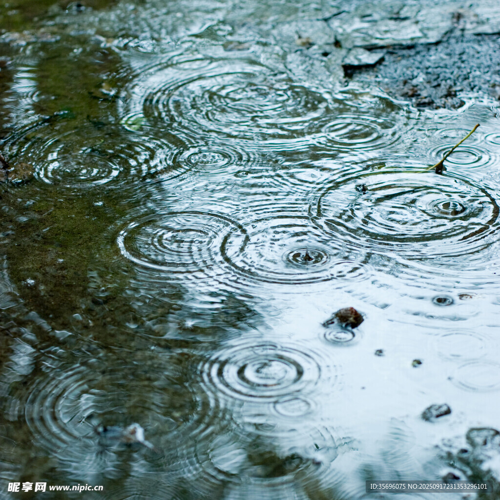 雨滴落入水面泛起的涟漪