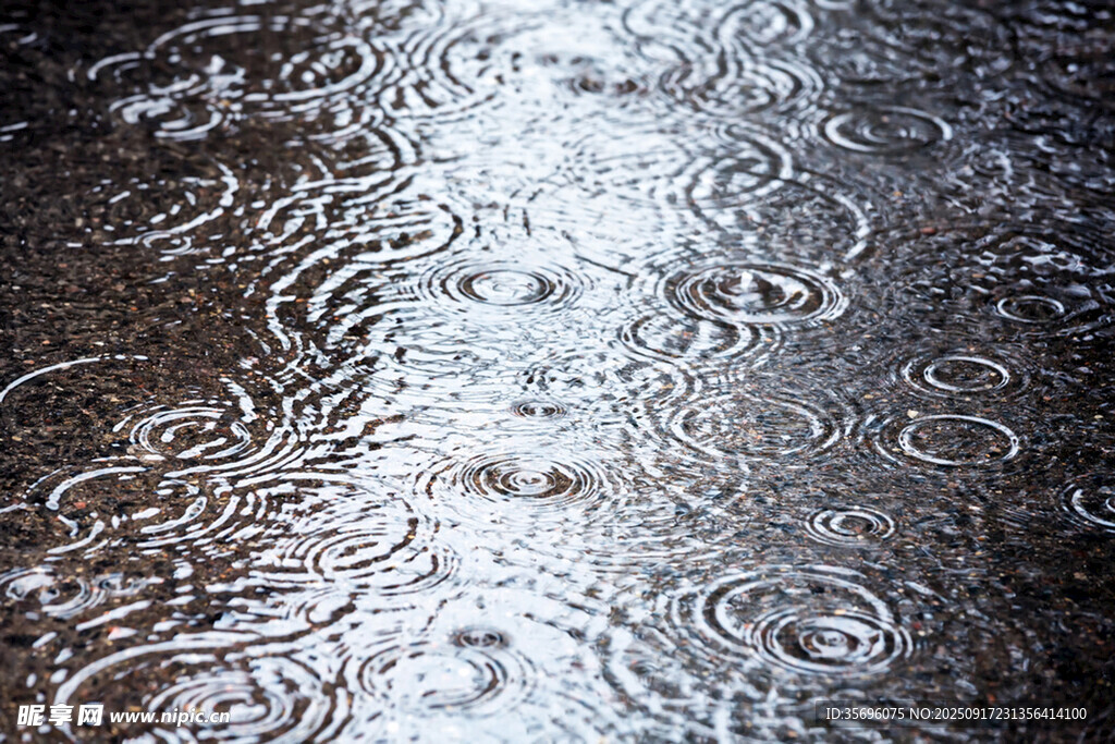 雨中地面泛起的涟漪