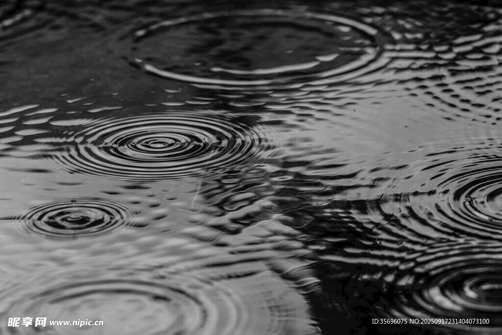 雨中积水泛起的层层涟漪