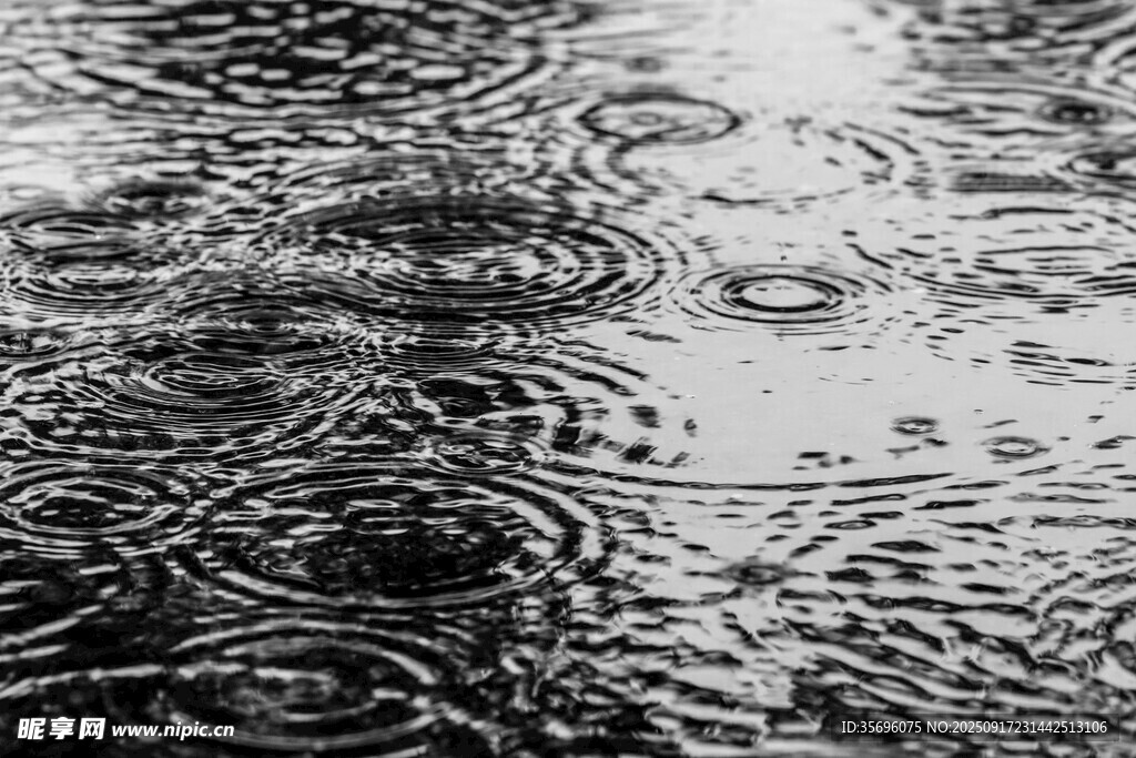 雨滴落积水形成的涟漪