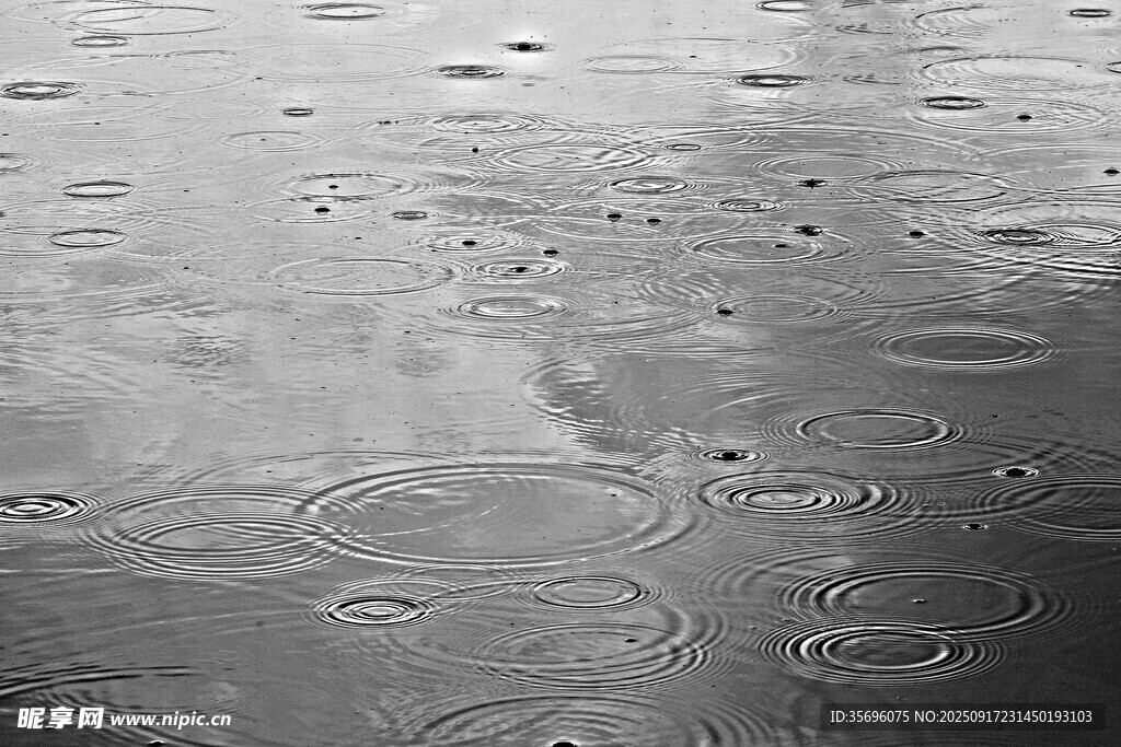 雨中积水泛起层层涟漪