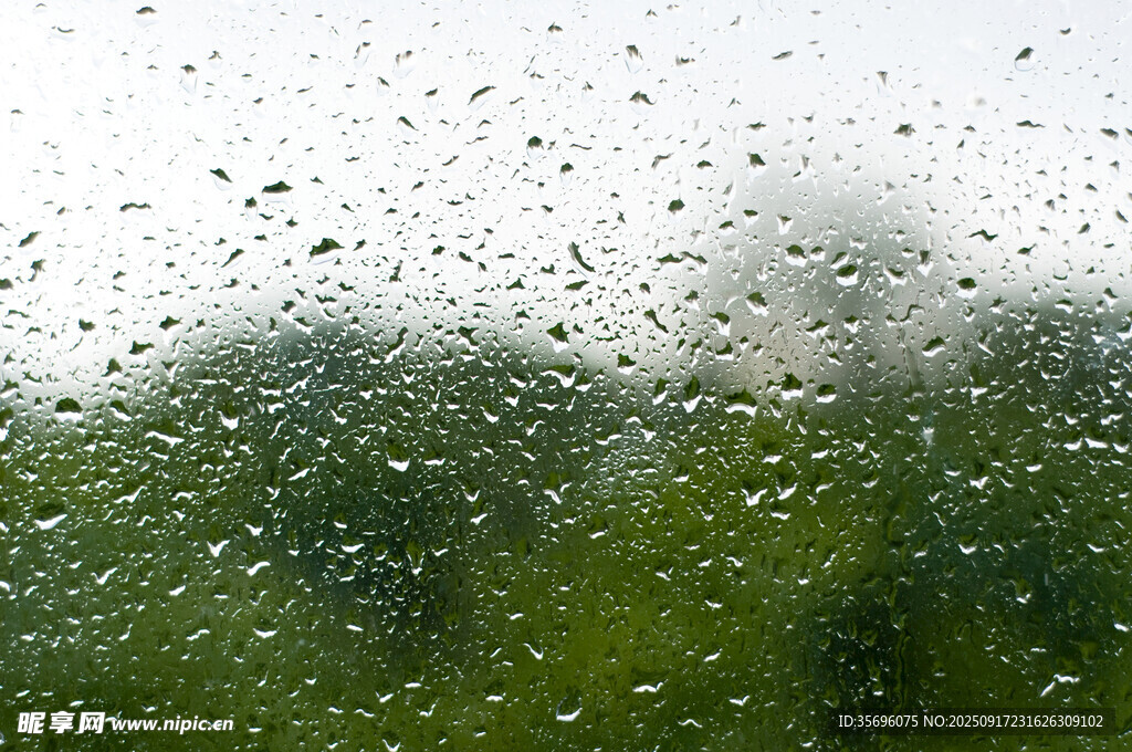 雨幕中的窗外绿意