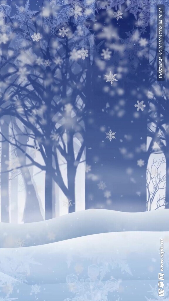 冬日雪景中的静谧树林