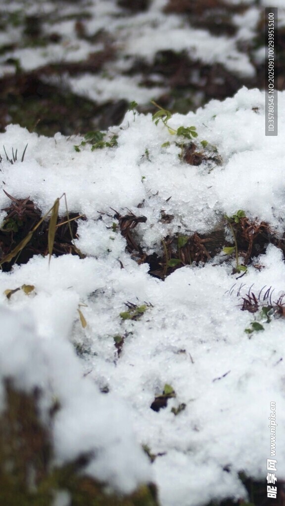 地面覆雪景象