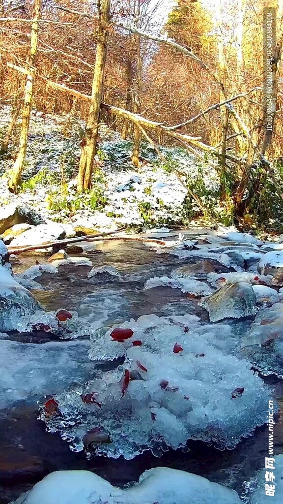 冬日溪边覆雪景致