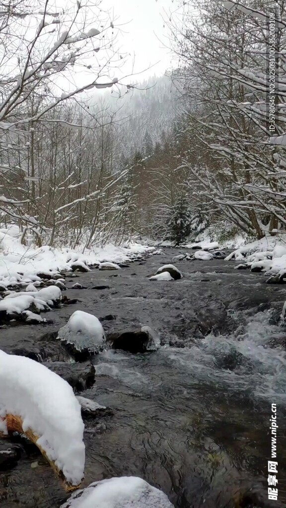 冬日溪流雪景