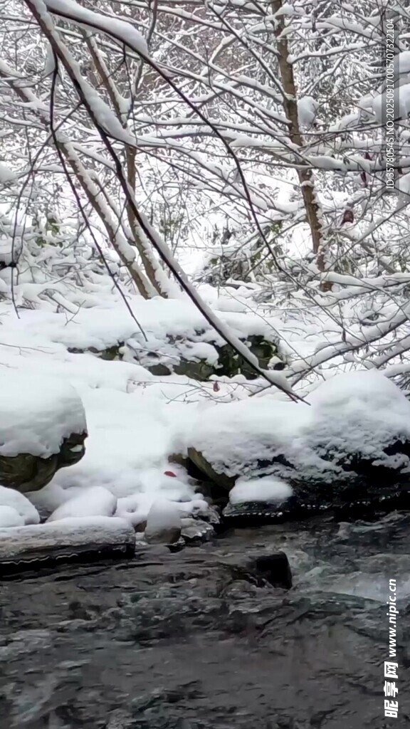 雪覆溪边林景