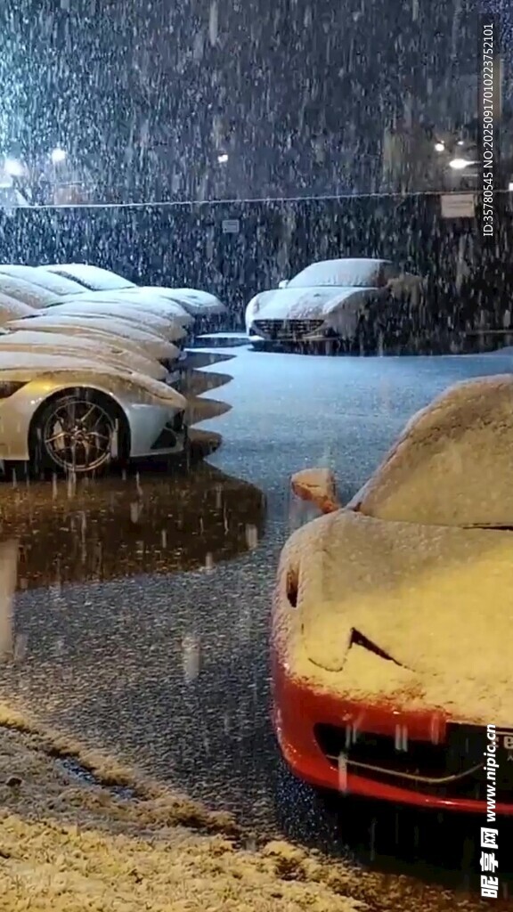 雪天路边停放的多辆汽车