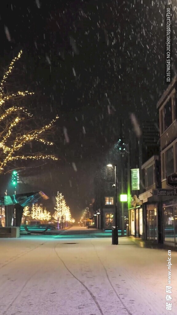 雪夜中的城市街道景观