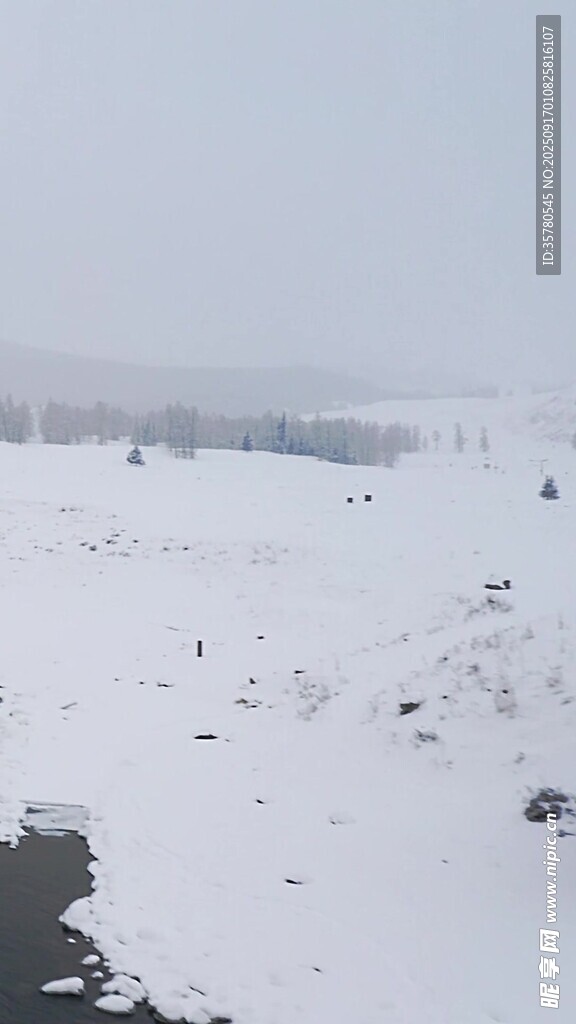 冬日雪景中的开阔雪地