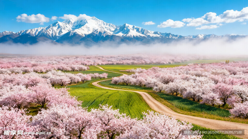 林芝桃花沟