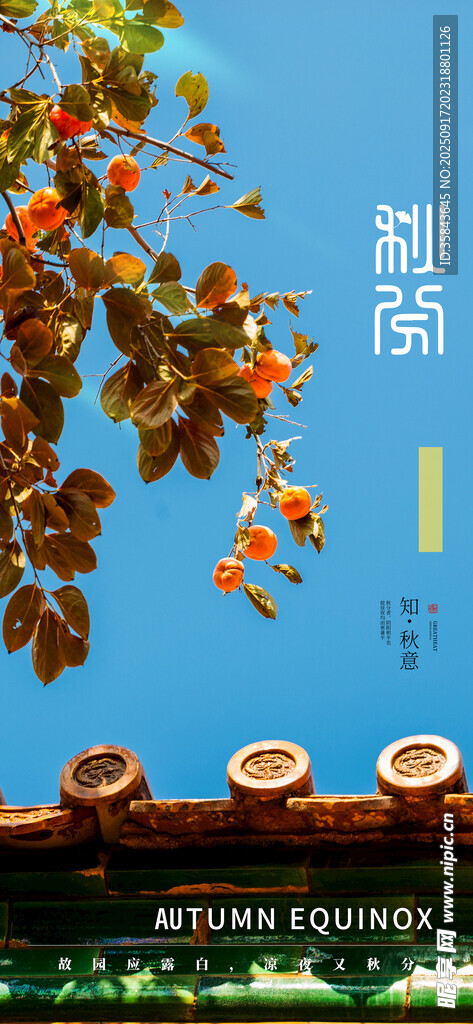 秋分