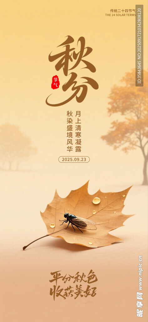 秋分