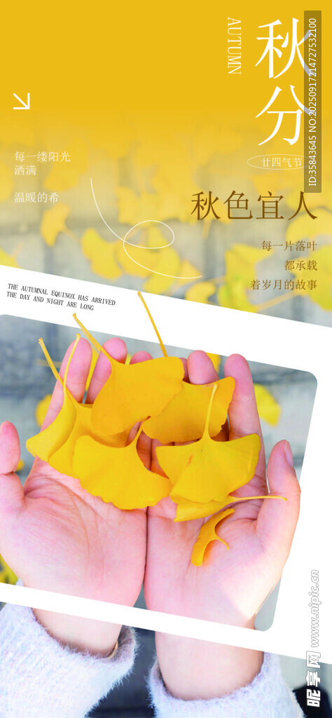 秋分
