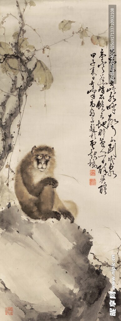 国画中静坐的猴子