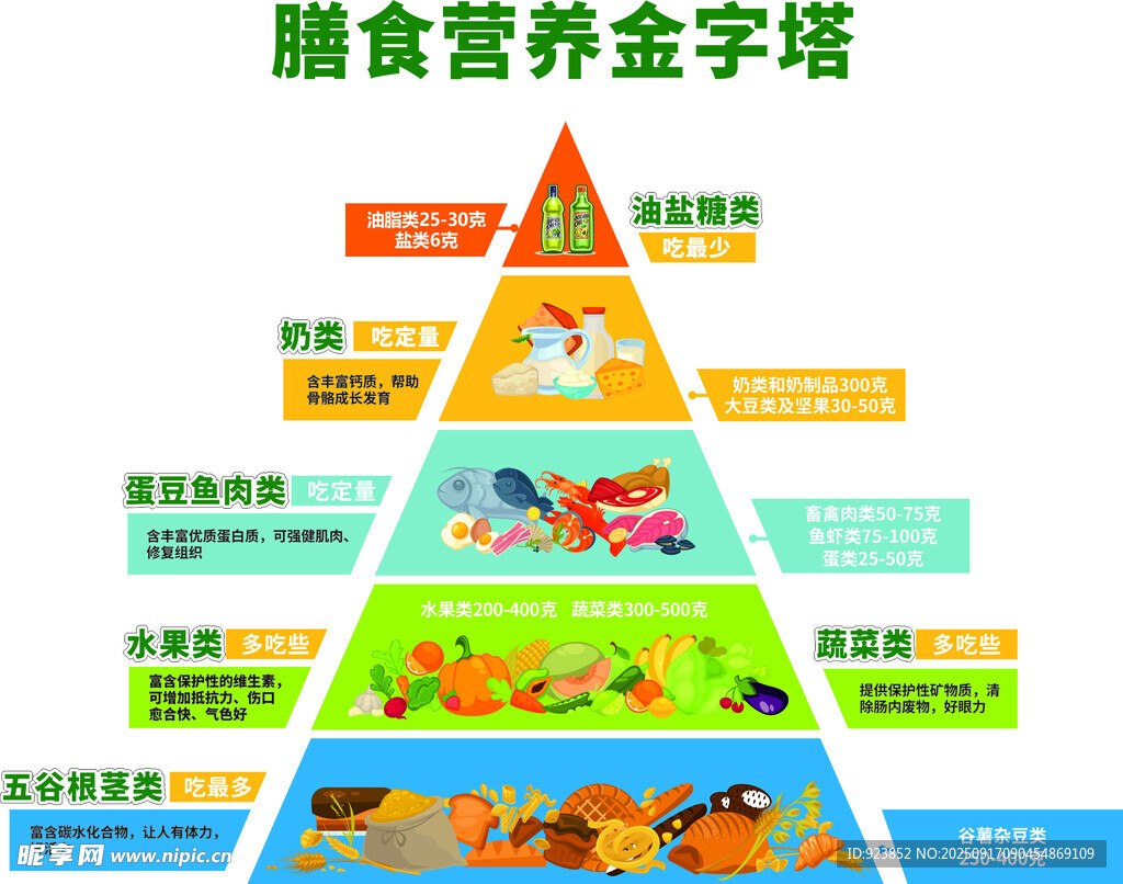养老院膳食营养金字塔