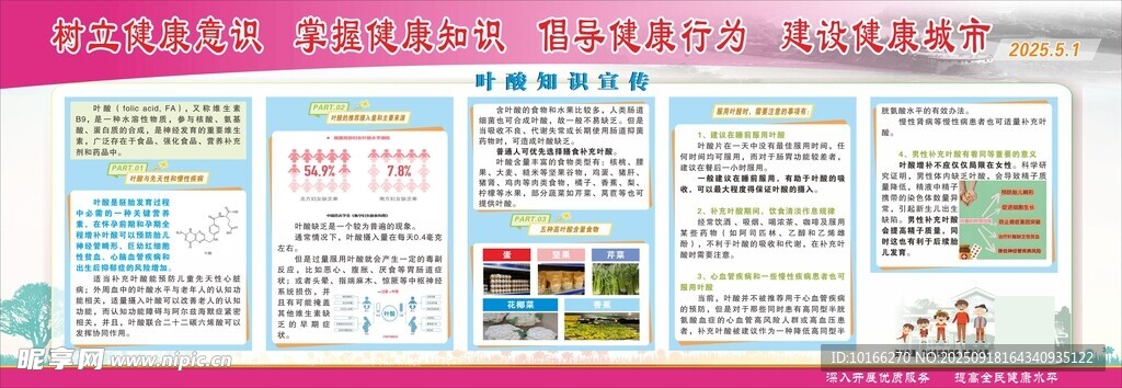 叶酸知识宣传