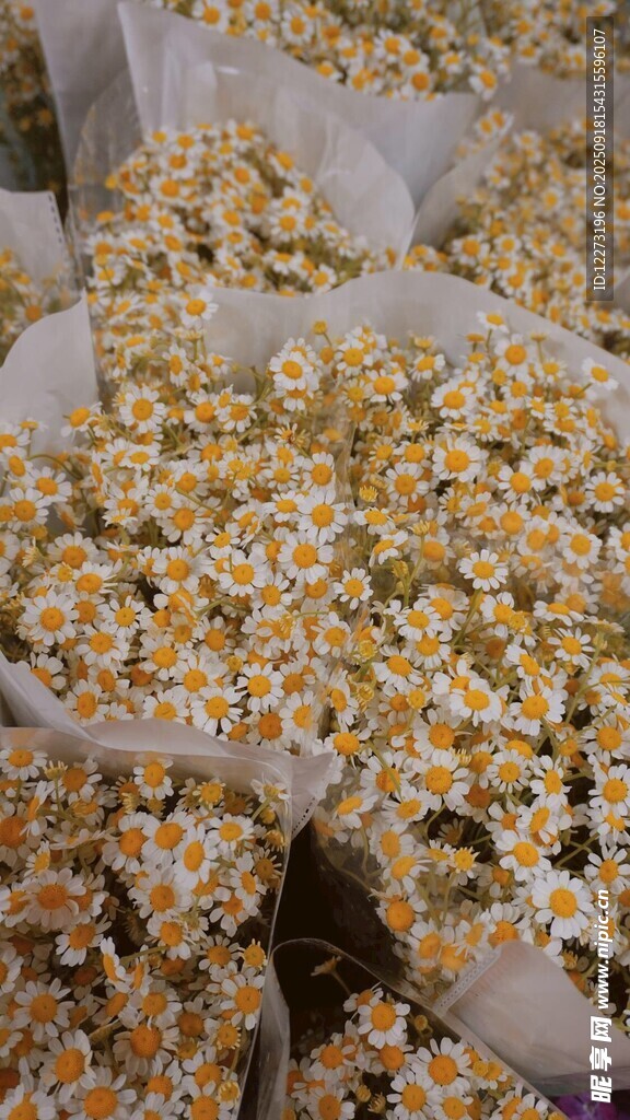 新鲜爆米花 