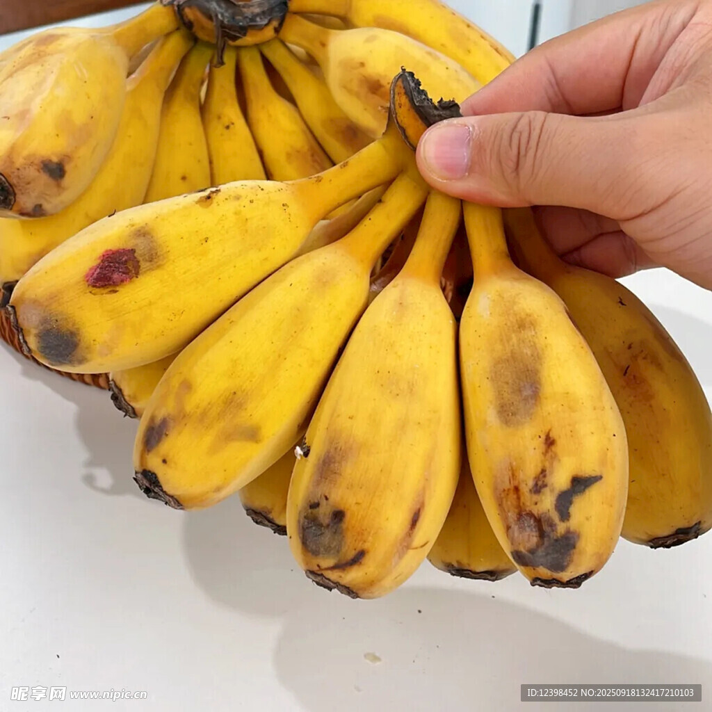 手捧成熟黄香蕉
