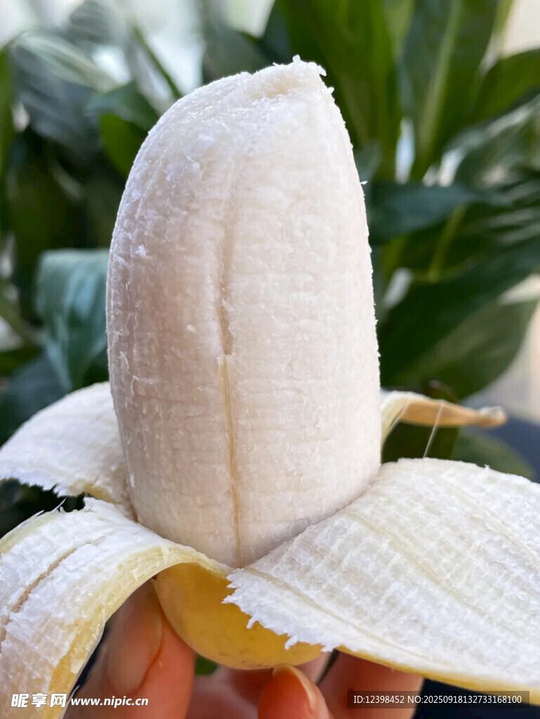 剥开的新鲜香蕉