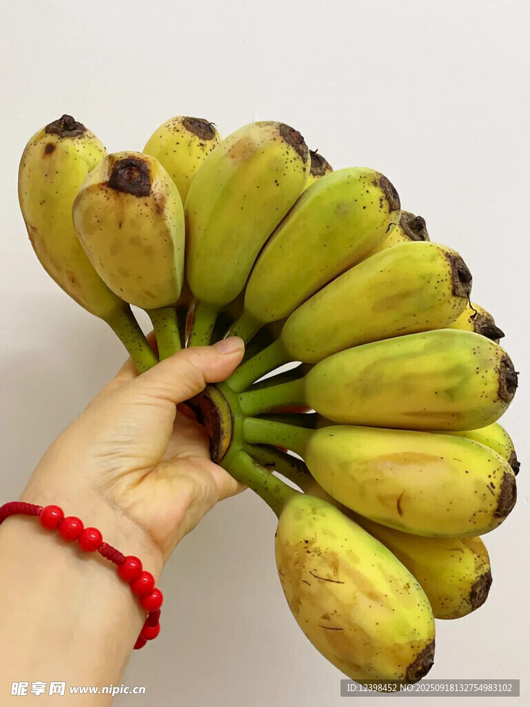 手捧鲜黄香蕉