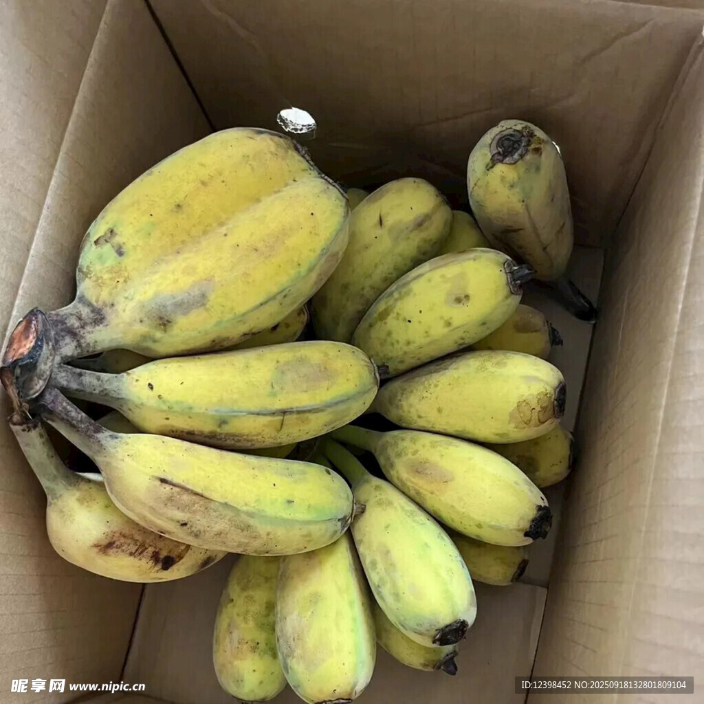 纸箱中的新鲜香蕉
