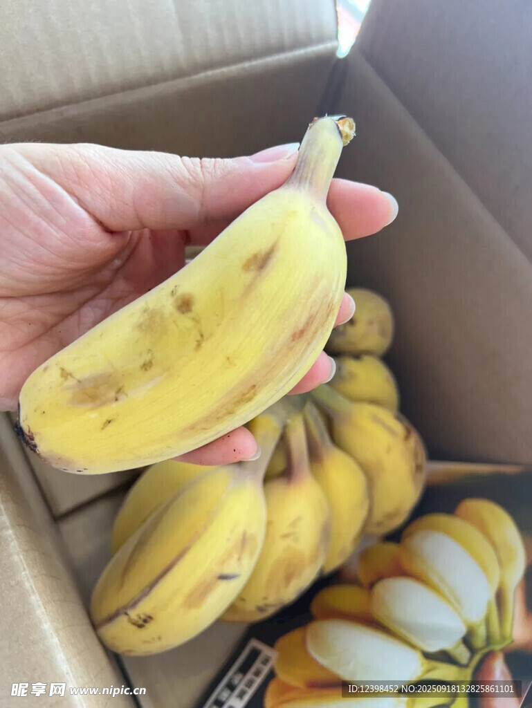 手持香蕉与箱中香蕉