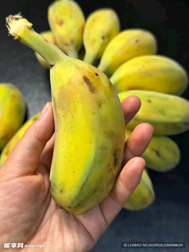 手捧鲜黄饱满的香蕉