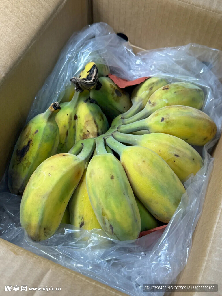 纸箱中的新鲜香蕉