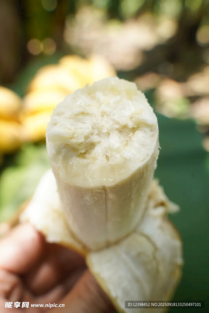剥开的新鲜香蕉