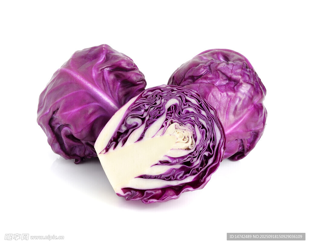 紫甘蓝蔬菜
