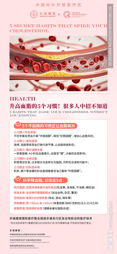 高血脂健康科普海报