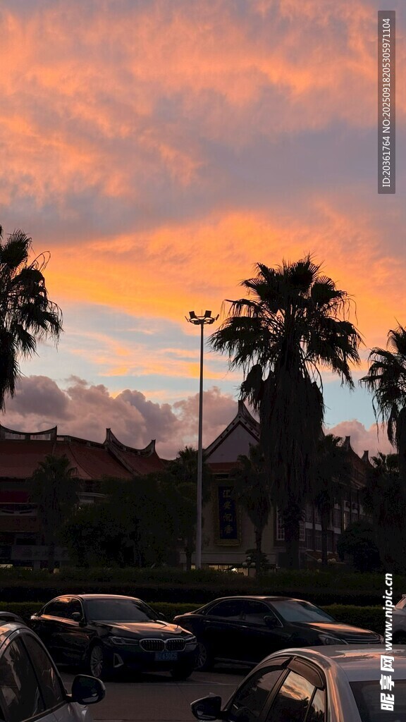 夕阳下停车场与棕榈树